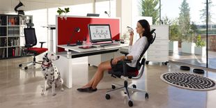 Office Partner GmbH Whv Arbeitsplätze Schreibtisch